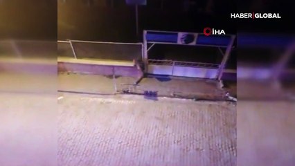 Yavrularıyla ilçe merkezine indi, böyle görüntülendi