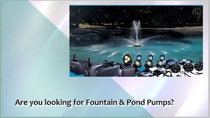 Looking For Fountain And Pond Pump