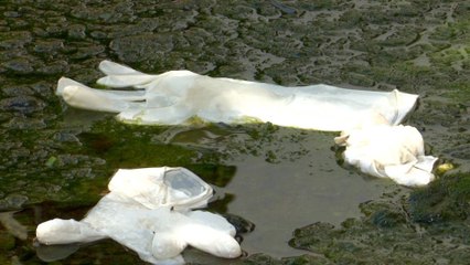 Can Bangladesh deal with mountains of COVID-19 medical waste?