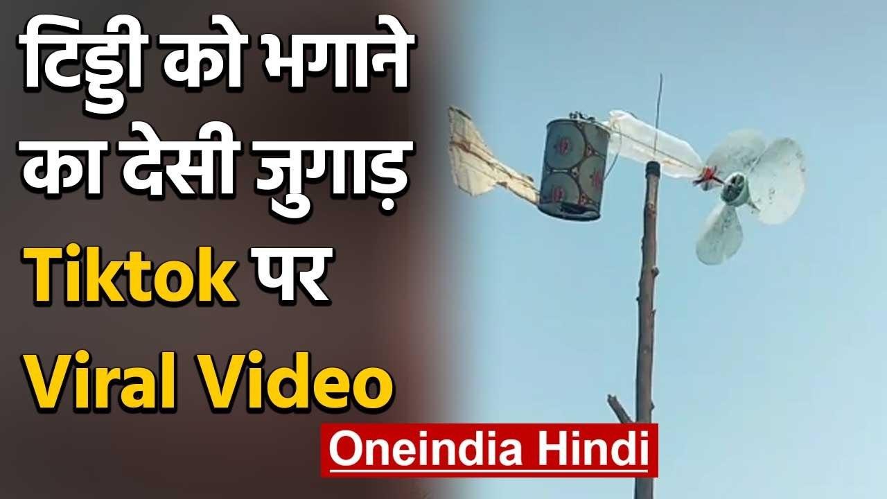 Locust Tiktok viral video 2 cr बार देखा गया ,Video में टिड्डी को भगाने का देसी जुगाड़|वनइंडिया हिंदी