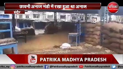 VIDEO STORY: बारिश से भींग गया कई टन अनाज