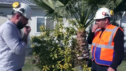 Tabiatın en hassas varlıkları, çevre denetiminde kullanılmaya başlandı