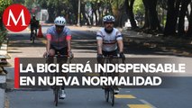 Entrevista María Fernanda Rivera, directora de seguridad vial de Semovi. 54 Km de ciclovías emergentes