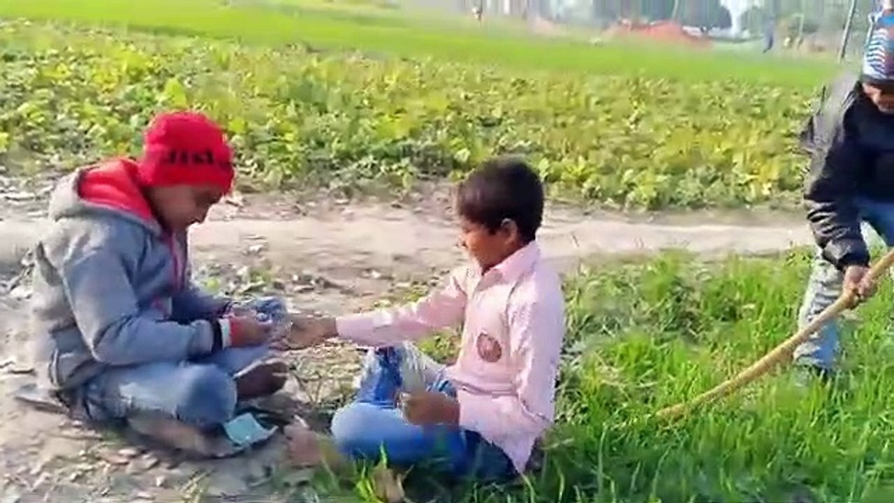 Funny Video __ Part 2 __