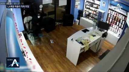 “생존권 위해 총기 구입”…긴장감 속 방어 나선 한인들