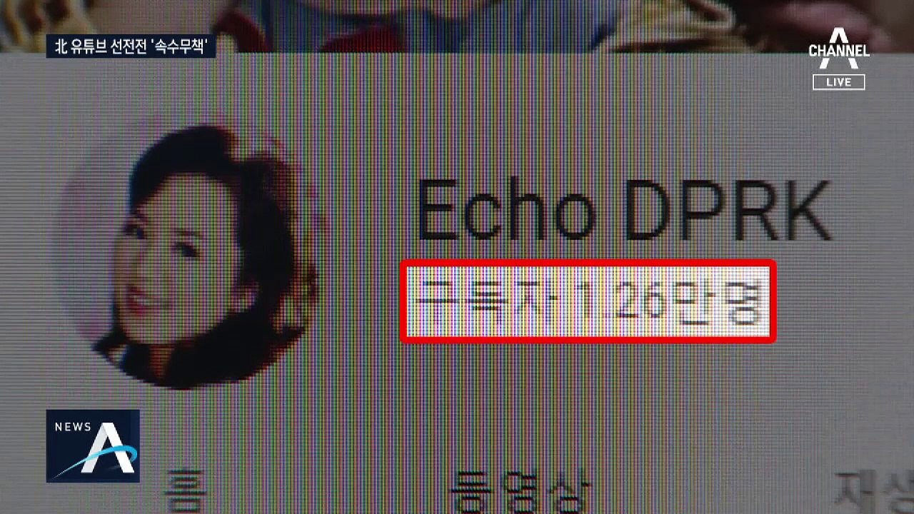 ‘北 유튜브’ 구독자 1만 2천 명…국내 차단 어려워 난감