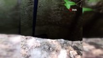 İtfaiye’den su kuyusuna düşen tilkiyi kurtarma operasyonu operasyonu