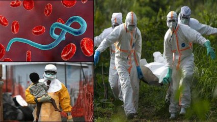 下载视频: Ebola Virus Outbreak In Congo!