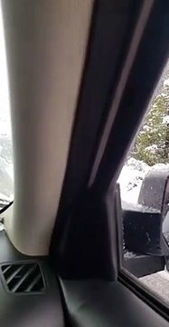 Tourists Get Dangerously Close to Bears Crossing Road