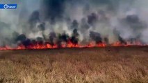 الحرائق تلتهم مئات الدونمات في منطقة سلوك شمال الرقة