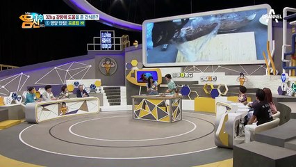 다이어트 스트레스는 이제 그만! 영양만점 건강 간식, 프로틴 바&프로틴 아이스크림!