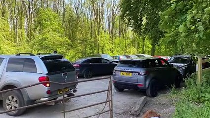 Don't go to Greyfield Woods by car!