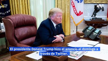 Trump anuncia que designará al movimiento Antifa como organización terrorista