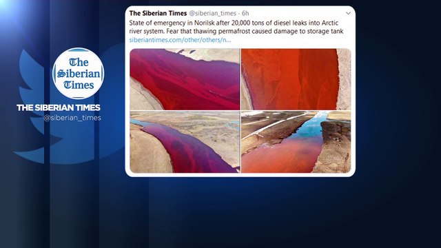 Desastre ambiental na Sibéria