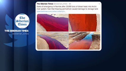 Desastre ambiental na Sibéria