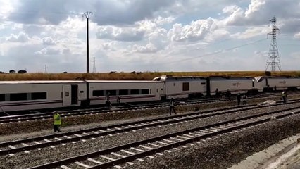 Descarrila un Alvia Madrid-La Coruña tras arrollar a un turismo