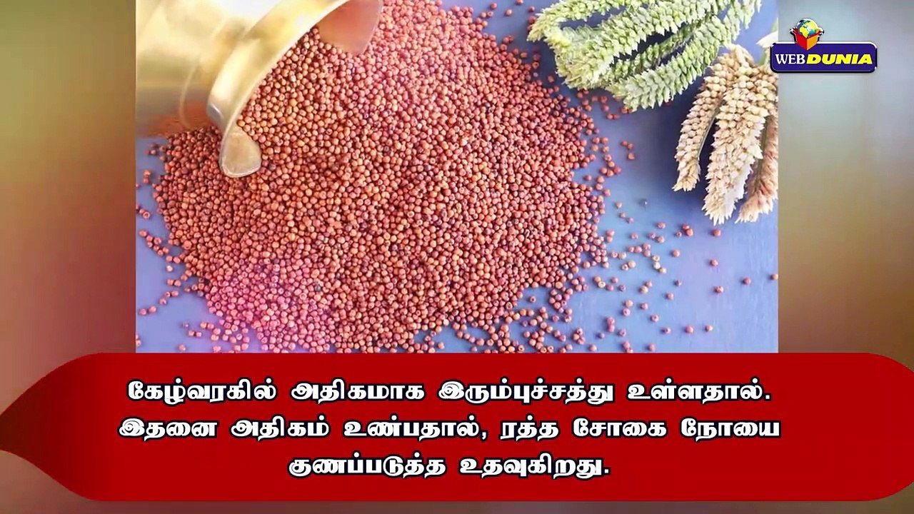 கேழ்வரகின் மருத்துவ நன்மைகள்!