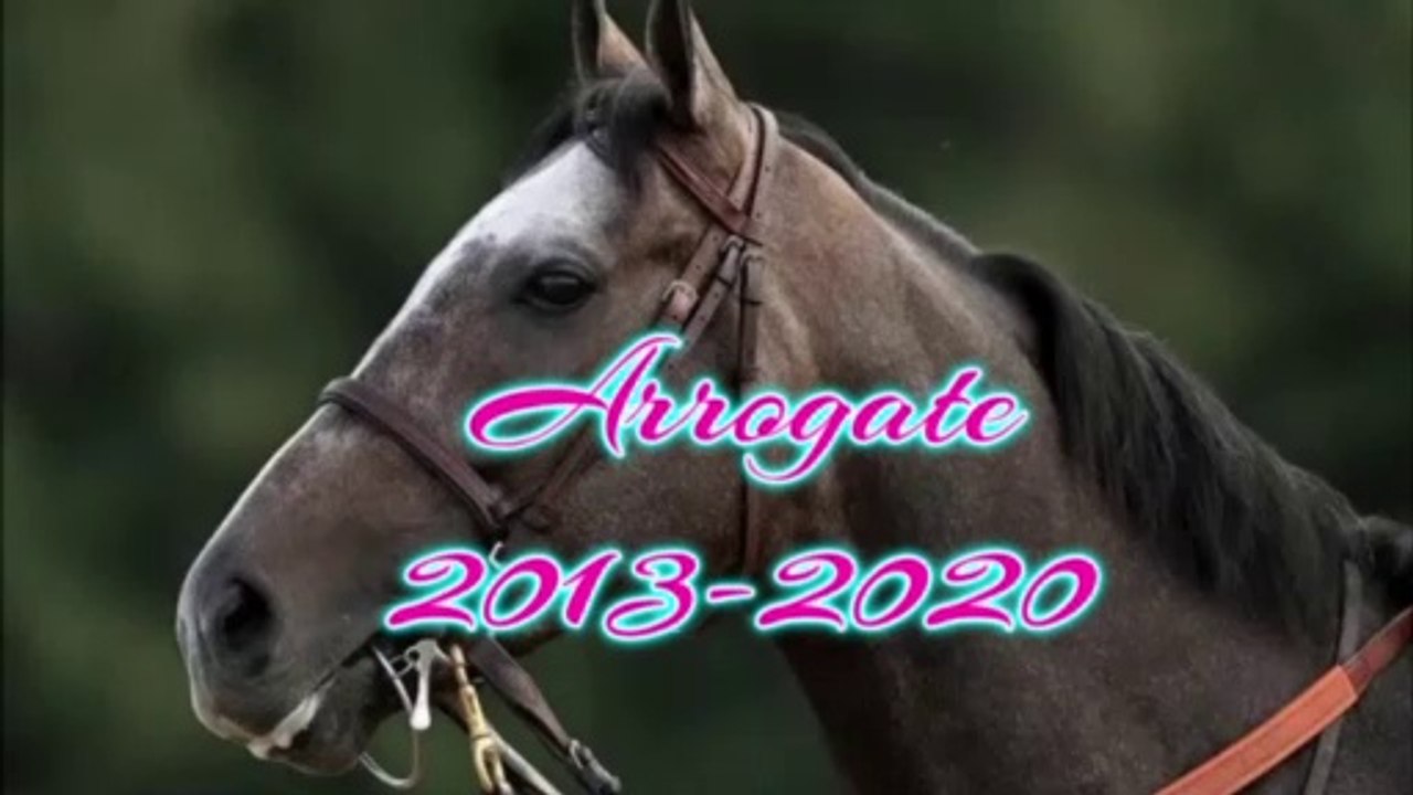 Remembering Arrogate