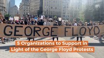 5 Helpful Organizations Related To The Protests