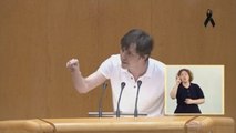PP abandona el pleno tras una gran bronca con un senador de Más Madrid