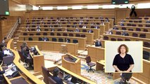 Las críticas al Gobierno y la polémica sobre Marlaska, protagonistas en el Senado