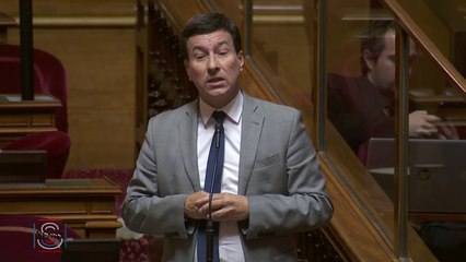 « Vous nous proposez le vote par correspondance aux calendes grecques », s'exclame Jérôme Bascher