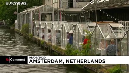 Coronavirus: Small greenhouses open to encourage social distanced dining