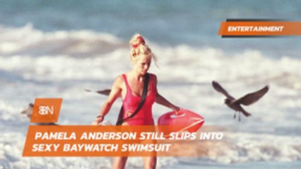 Pamela Anderson's Swimsuit