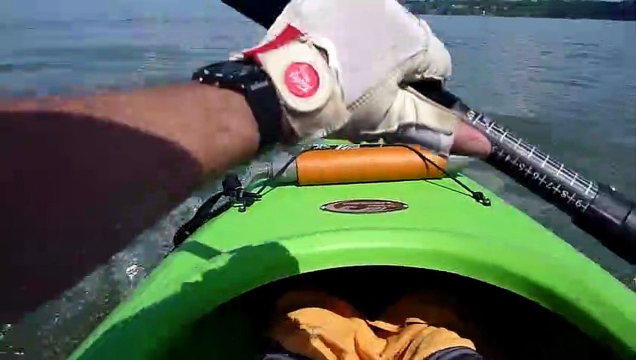 Kayakers Rescue Deer Swimming in a Large Lake