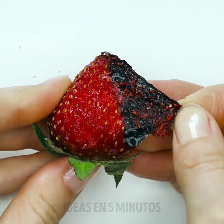 LAS MEJORES RECETAS DE BELLEZA