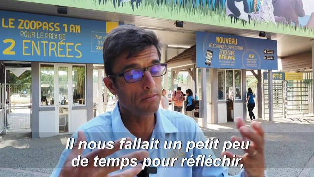 Les visiteurs au rendez-vous pour la réouverture du zoo de Beauval