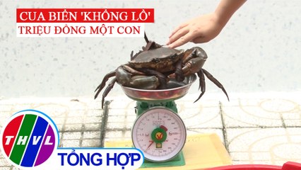 Cua biển "khổng lồ" giá triệu đồng vẫn "cháy hàng"