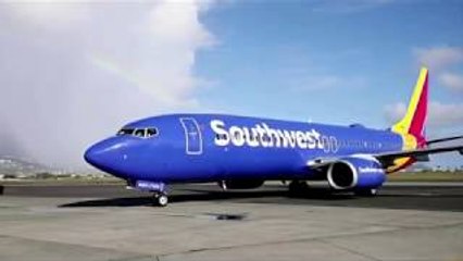 Southwest offers buyouts to 'ensure survival'