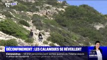 Déconfinement: les calanques se réveillent, mais attention à ne pas déranger la faune sauvage