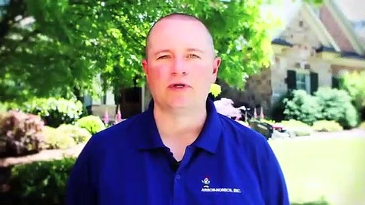 Best Lawn Care Tips to Maintain Your Lawn in Marietta,GA | Arbor Nomics Turf |