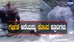 Pregnant Elephant loses life in Kerala due to the cruelty of villagers | Kerala l Oneindia Kannada