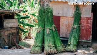 Different colors of central province’s mat making village - Vietnam Today