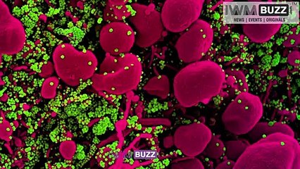 SHOCKING Bollywood's famous casting director passes away in road accident