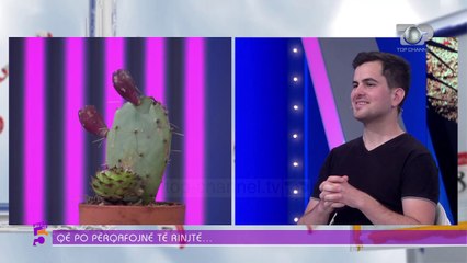 Fiku i detit bën mrekulli për këtë sëmundje kaq të përhapur