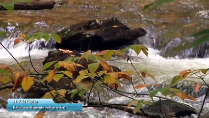 İslam'da kalp, Kalbi temizlemenin yolları neler | M. Zeki Ceylan