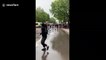 Horrific moment runaway police horse knocks over bystander during London Black Lives Matter protest
