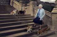 Royally pampered pooches: Queen Elizabeth's corgis had their own special menu