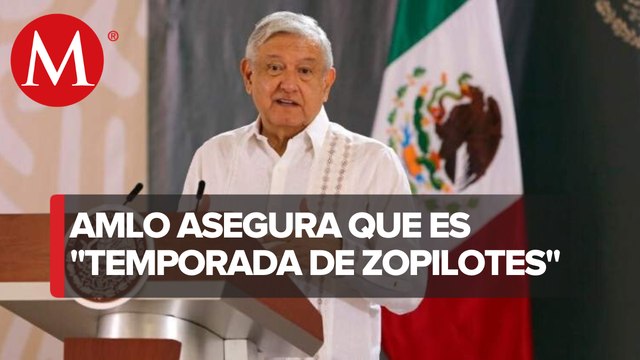 EU y Europa, con 8 veces más muertes por coronavirus que México: AMLO