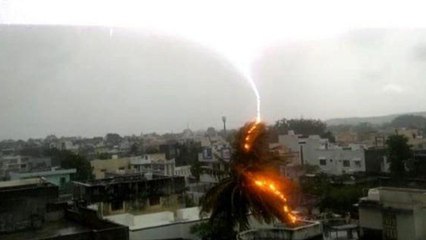 VIDEO: समुद्र के निकट शहर में आसमान से गिरी बिजली ने खाक कर डाला पेड़, कैमरे में कैद हुआ दृश्य