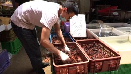 Top News - Habit Kina/ Virusi, jo nga tregu i kafshëve