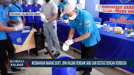 BNN Kalbar Musnahkan Sabu dan Ekstasi