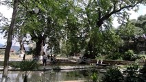Ora News - Vetëm 4 km nga Elbasani, pika turistike e Bushekut për një fundjavë të bukur