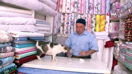 Çarşının maskotu haline gelen 'Can' tavuk şiş dışında hiçbir yemeği yemiyor