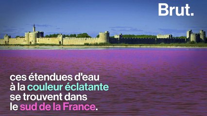 Avoir l'impression de voyager au Mexique tout en restant en France, c'est possible