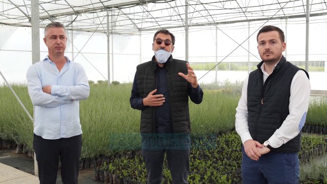 Fluks kërkesash për subvencionet në bujqësi, fondet kryesore për blegtorët - Vizion Plus